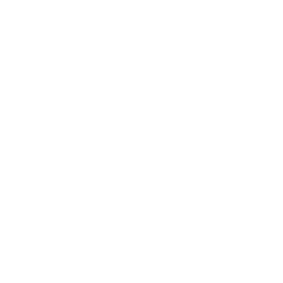 Red Bull Bora